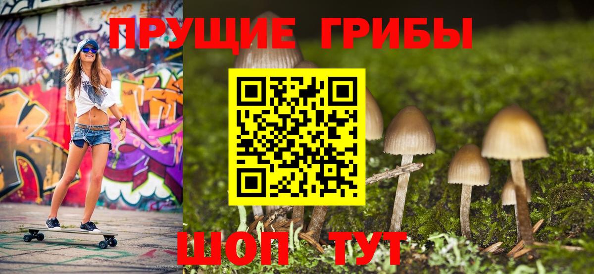 Псилоцибиновые грибы GOLDEN TEACHER Белебей